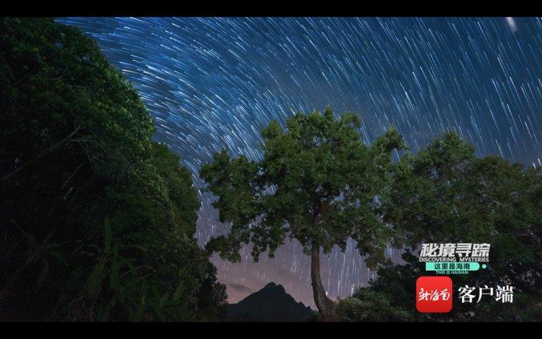 春雨直播app
